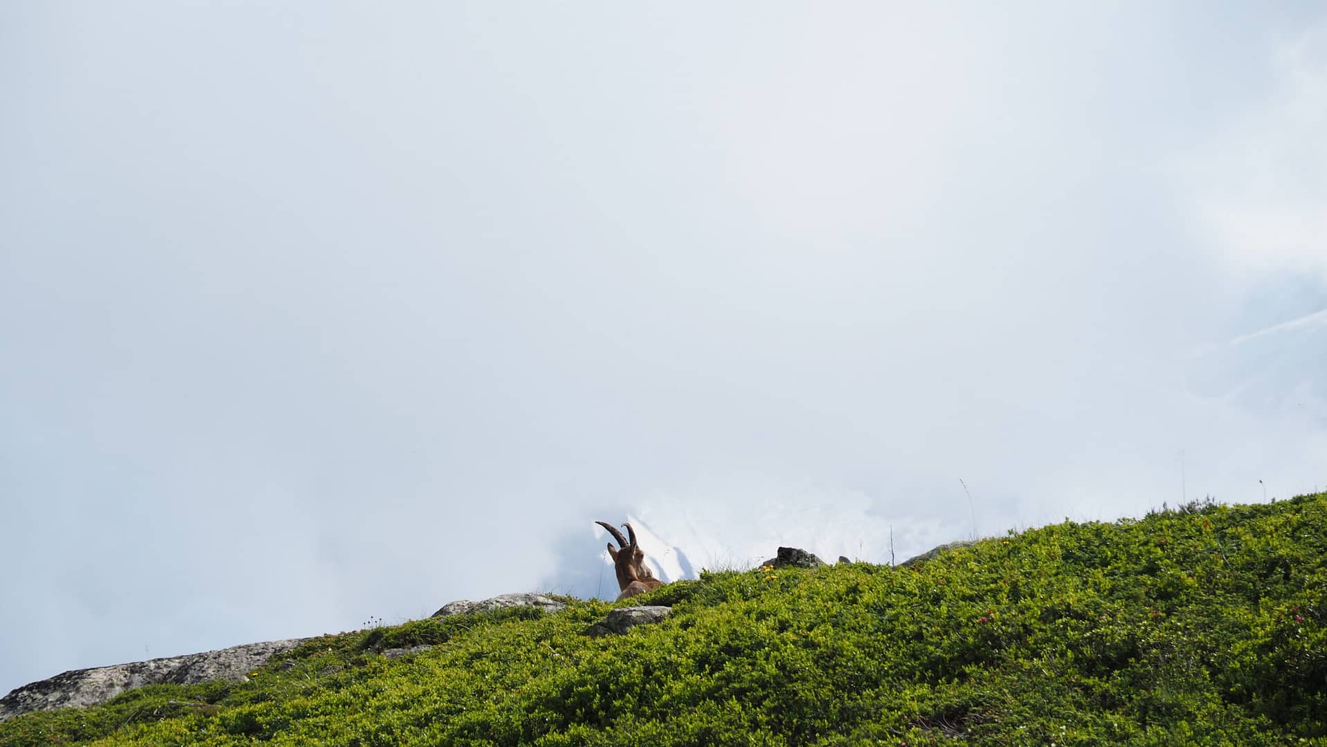 Etap Tour du Mont Blanc: Chamonix Mont Blanc – Trient
